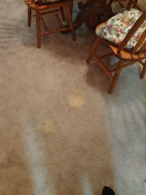 Carpet has mystery light-colored stain, not sure how to remove : r