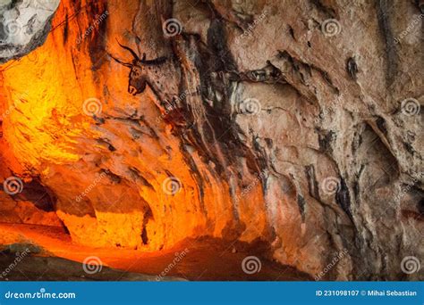 Prehistoric Auroch Cave Painting Stock Image | CartoonDealer.com #231098107