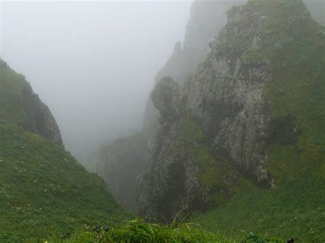 Kiska Island, July 2008