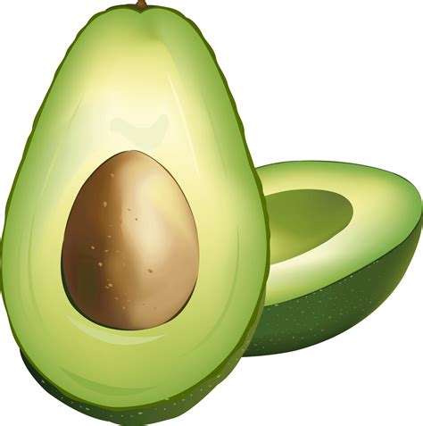 Download Fresh Avocado Halved Illustration | Wallpapers.com