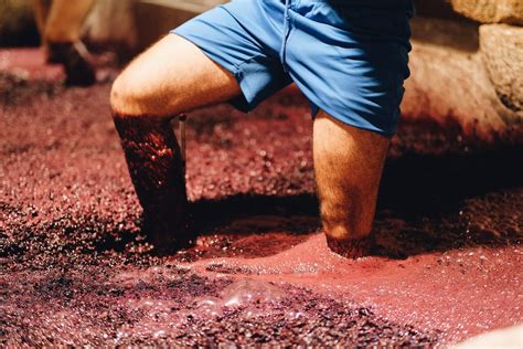 Wine Making Feet at Edward Johns blog