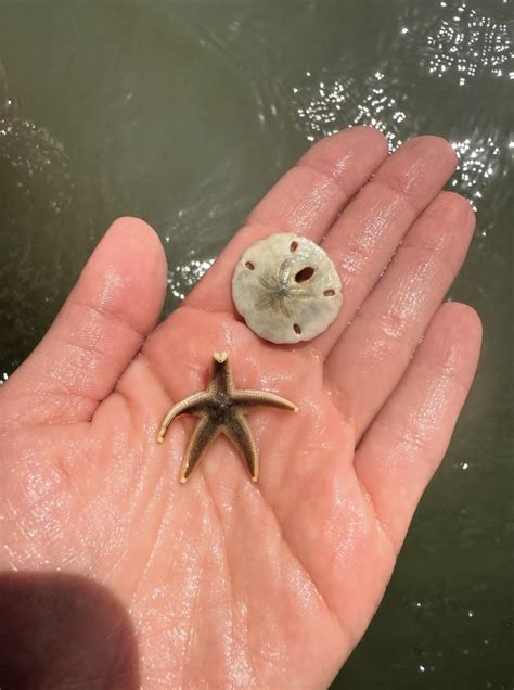 Visit Port Aransas | Port Aransas TX