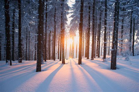 The meaning and symbolism of the word - «Winter»