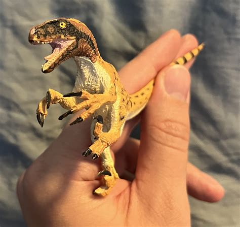 Utahraptor State Park Map 181 Utahraptor Fossil Images, Stock Photos,