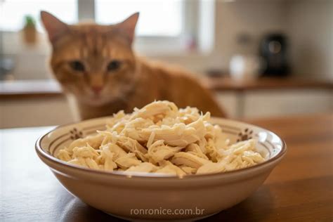 Remédio Caseiro Para Gato Com Diarreia - Gato com Diarreia? Saiba o que fazer para ajudar seu felino! - Ronronice