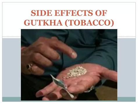 PPT - SIDE EFFECTS OF GUTKHA (TOBACCO) PowerPoint Presentation, free ...