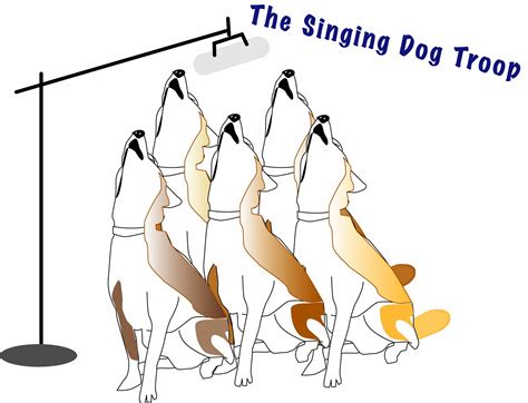 amies      guinea singing dog