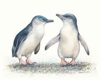 Fairy penguin clipart 20 free Cliparts | Download images on Clipground 2025