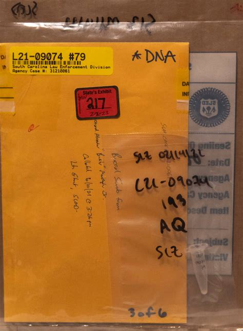 Top Legal Experts Weigh In: The Alex Murdaugh Mistress Case Explained Image 1