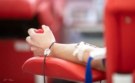 У Києві студенти-медики створили базу донорів крові для військових ...