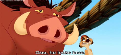 Timon And Pumbaa Quotes. QuotesGram