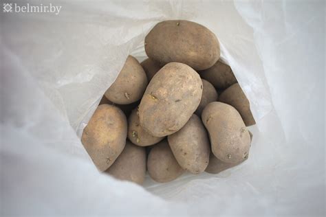 Установлены предельные цены на картофель, яблоки и ряд овощей ...