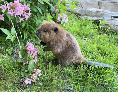 Anneka Svenska - Anneka Svenska added a new photo.