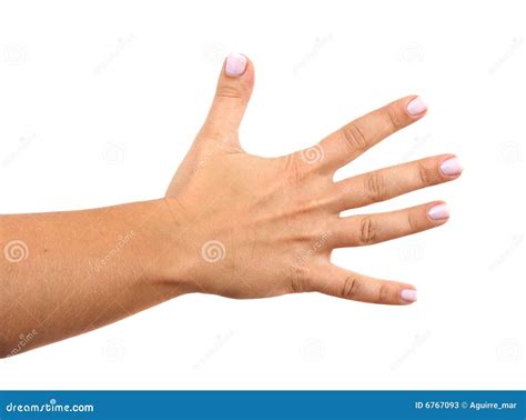 Hand Picture. Image: 6767093
