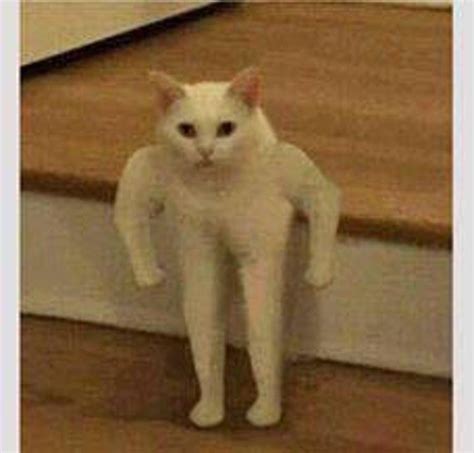 meme anjing   images  seungkwan   heart