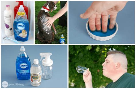 28 Practical Uses for Blue Dawn Dish Soap