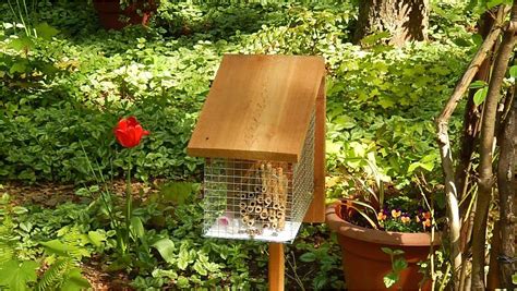 Diy Mason Bee House Plans | plougonver.com