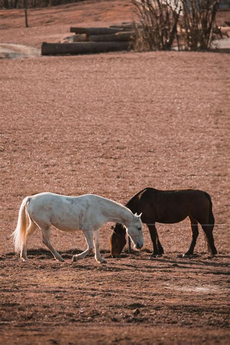 nature background 4k gallery 5