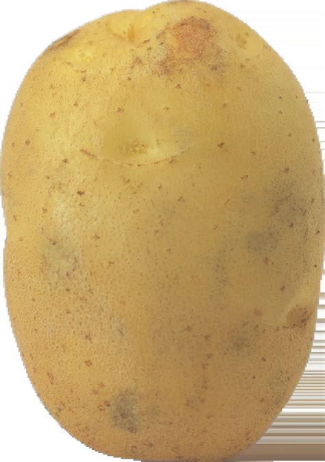 potato