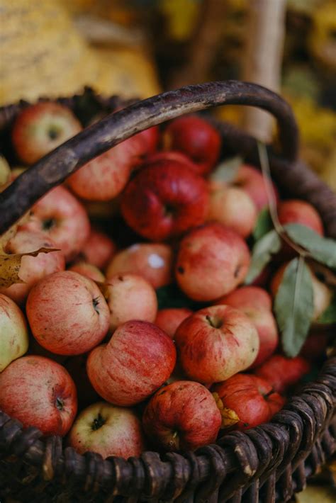 A Selective Focus on Apples in a Basket · Free Stock Photo