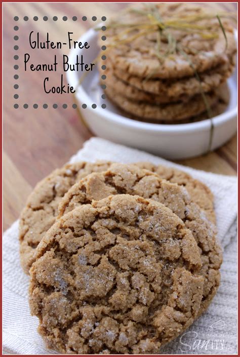 The Best Gluten Free Dairy Free Peanut butter Cookies – Easy Recipes To ...