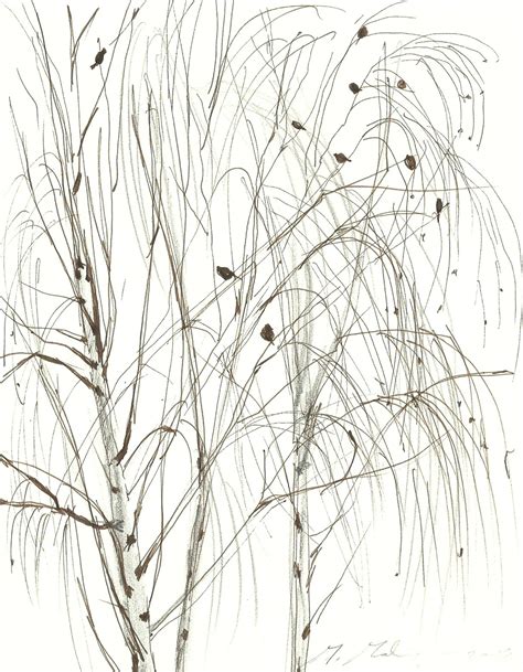 Birch Tree Drawing at PaintingValley.com | Explore collection of Birch ...