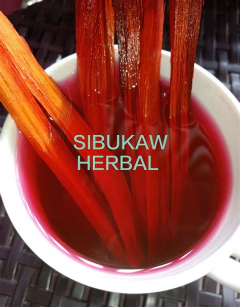 Sibukaw herbal original | Lazada PH