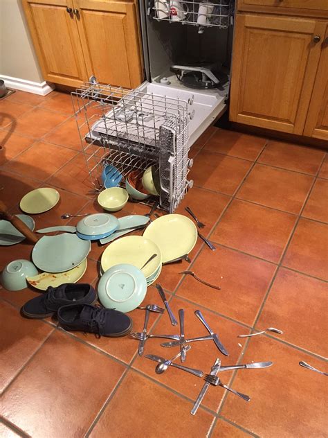 Never let your dog lick the dishes again : r/WhatsWrongWithYourDog