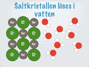 salters loeslighet  vatten magnus ehingers undervisning