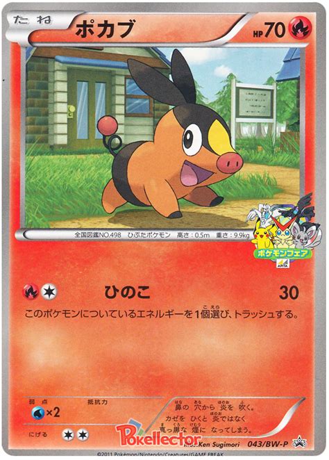 Tepig - Black & White Promos #43 Pokemon Card