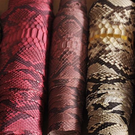 Interesting Things About Snakeskin (Pythons Skin) You Never Knew
