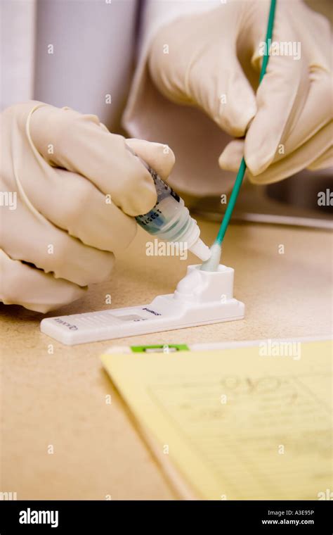 Doctor prepares buccal swab test applicator Stock Photo - Alamy