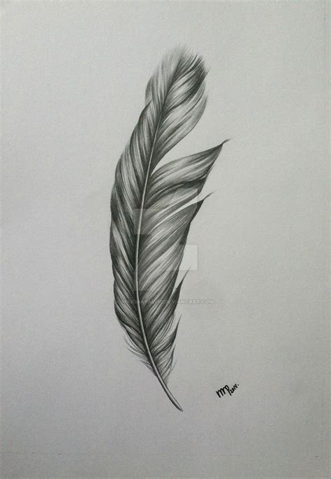 Realistic Feather Drawing at PaintingValley.com | Explore collection of ...