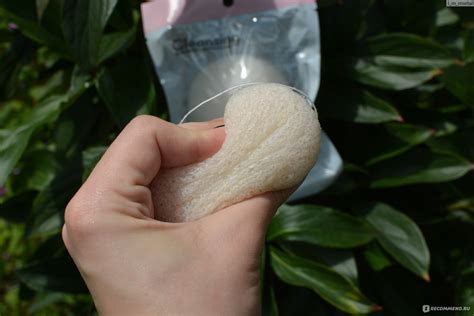Конжаковый спонж (конняку) ETUDE HOUSE Natural Konjac Face Cleansing ...