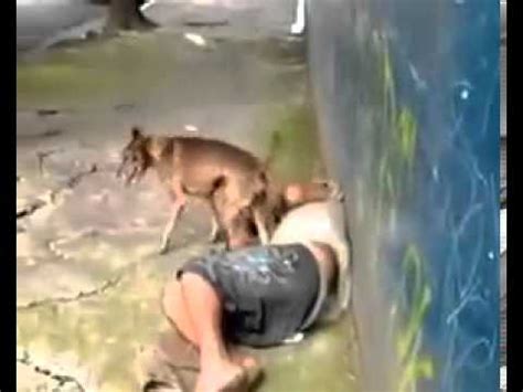 Cachorro Comendo Homem