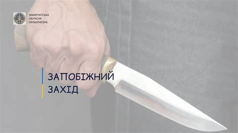 19-річного мешканця Виноградівщині, що напав із ножем на батька, взято ...