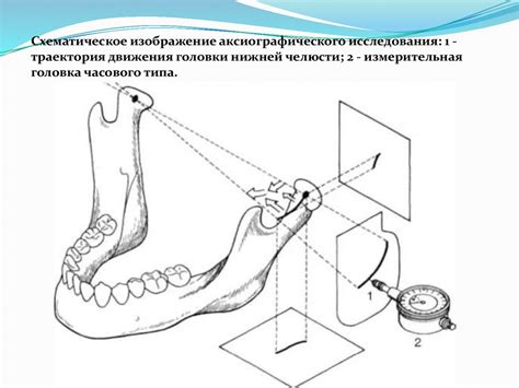 Методы обследования пациентов и основы диагностики окклюзионных ...