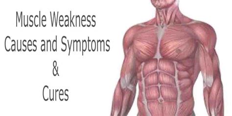 muscle weakness  symptoms cures sarvyoga yoga