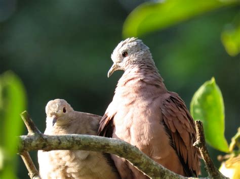 Trany+Stockings Photos, Download The BEST Free Trany+Stockings Stock