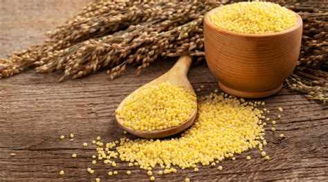 millet system simple explanation  amy grant blog