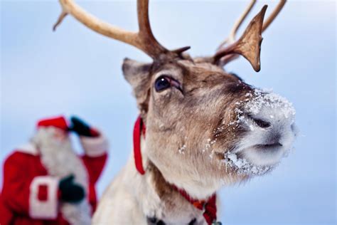 Santa Claus And Reindeer Images