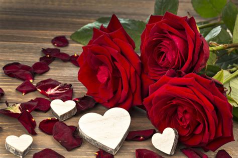 Valentine's Day Roses Wallpapers - Top Free Valentine's Day Roses