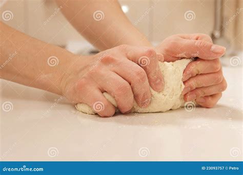 Knead dough stock image. Image of bakery, fresh, food - 23093757