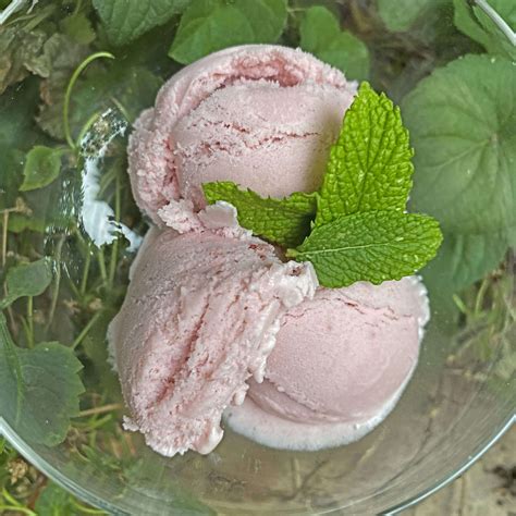 Vegan Ice Cream Upset Stomach at Stanley Harrison blog