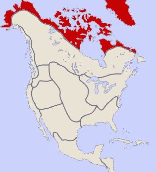 Arctic Indian Tribes and Languages