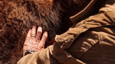 Force of Nature Meats