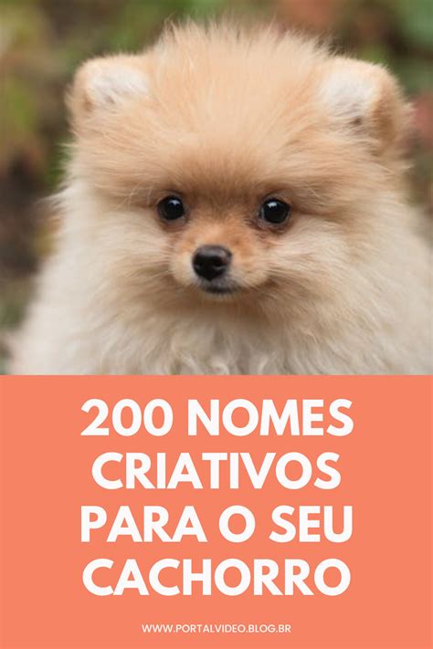 Nomes Criativos Para Pets - 200 nomes criativos para o seu cachorro | Cachorro, Nomes criativos ...