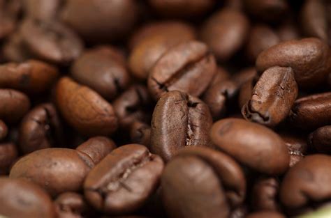 Coffee Beans – Westwood Horizon