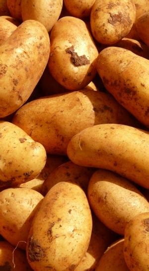 200 royalty free organic food images | Peakpx