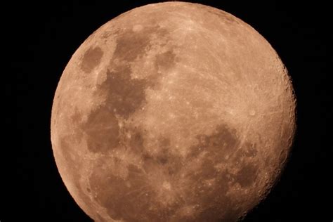 NIKON COOLPIX P1000. WITH HER YOU WILL GO INCREDIBLY FAR